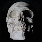 'The-Skull-(Le-Crâne)'-2012-Huile-80x80cm